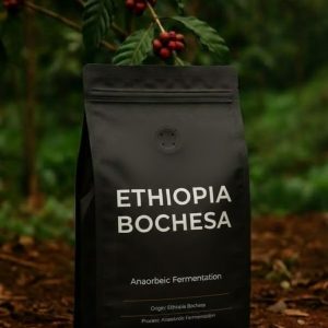 Ethiopia Bochesa Anaerobic Fermentation