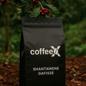 Ethiopia Shantawene Gafisse - Natural G1